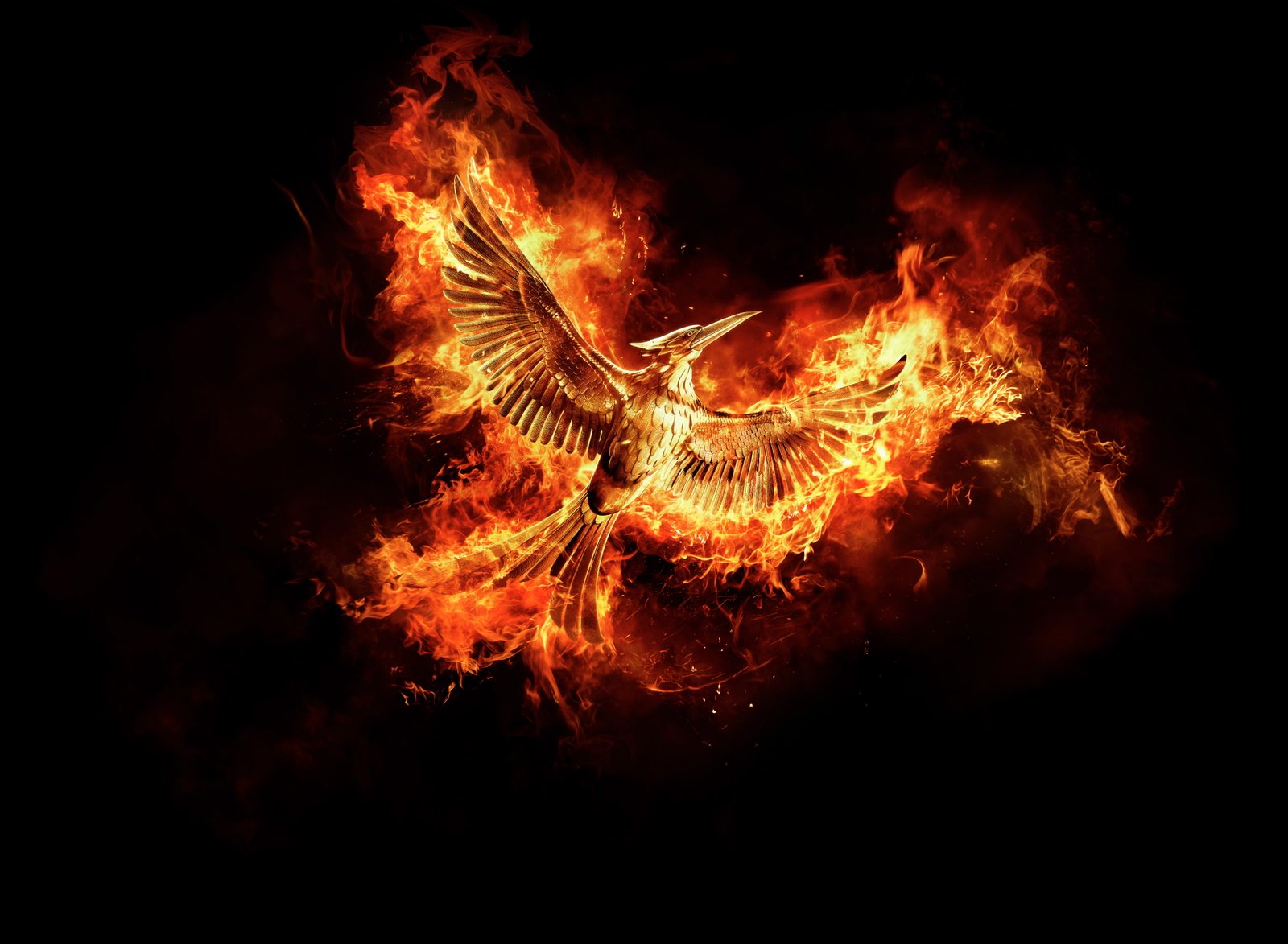 Mockingjay The Hunger Games 2k 4k 5k 8k