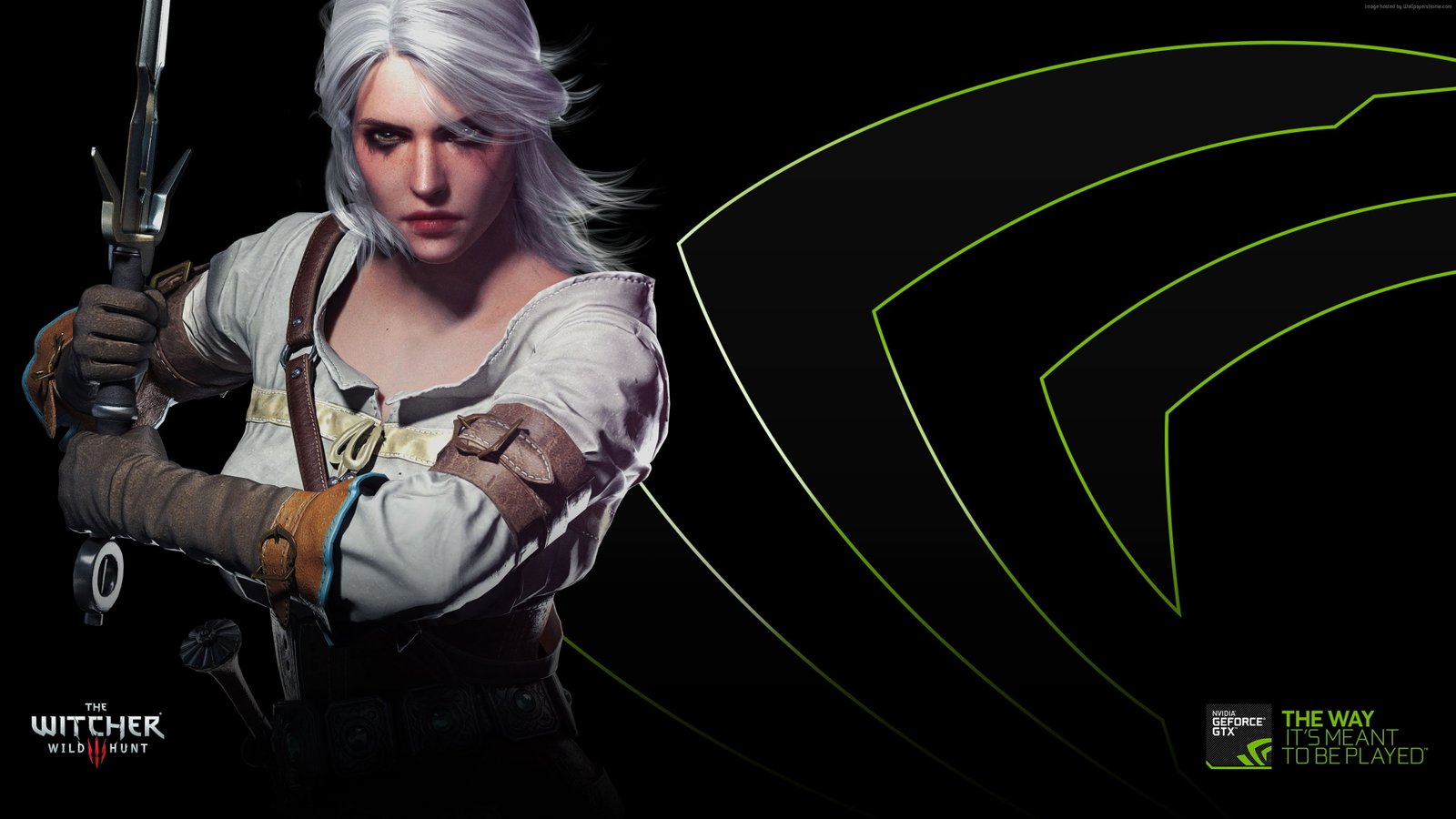 The Witcher 3 Wild Hunt one person front view young adult 2k 4k