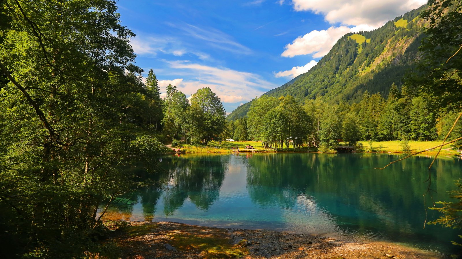 lake nature photo water beauty in tree scenics 2k 4k 5k 8k