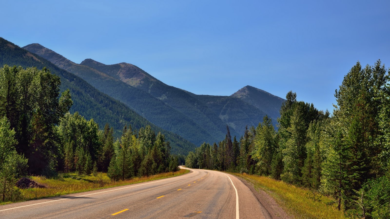 mountain nature photo tree road plant transportation 2k 4k 5k 8k