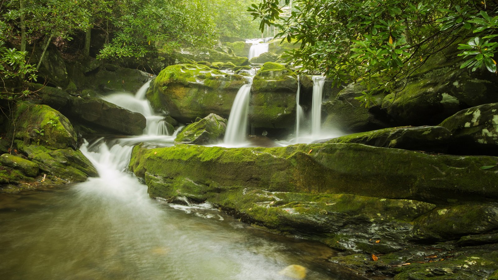 waterfall nature download tree scenics plant 2k 4k 5k 8k