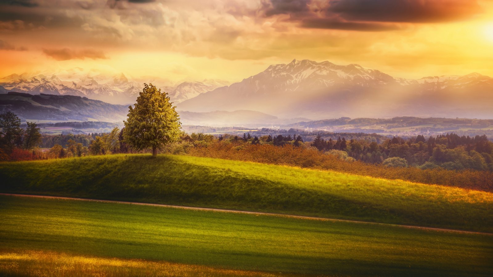 ultra hd nature wide 2k 4k 5k 8k