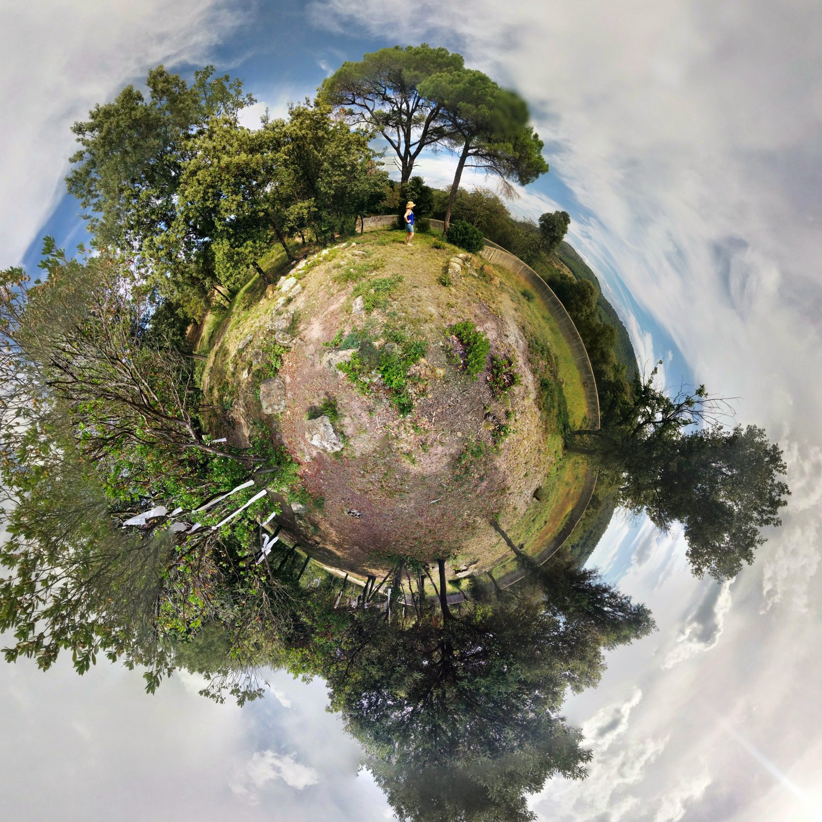 degree photography of forest planet green natural earth 2k 4k 5k