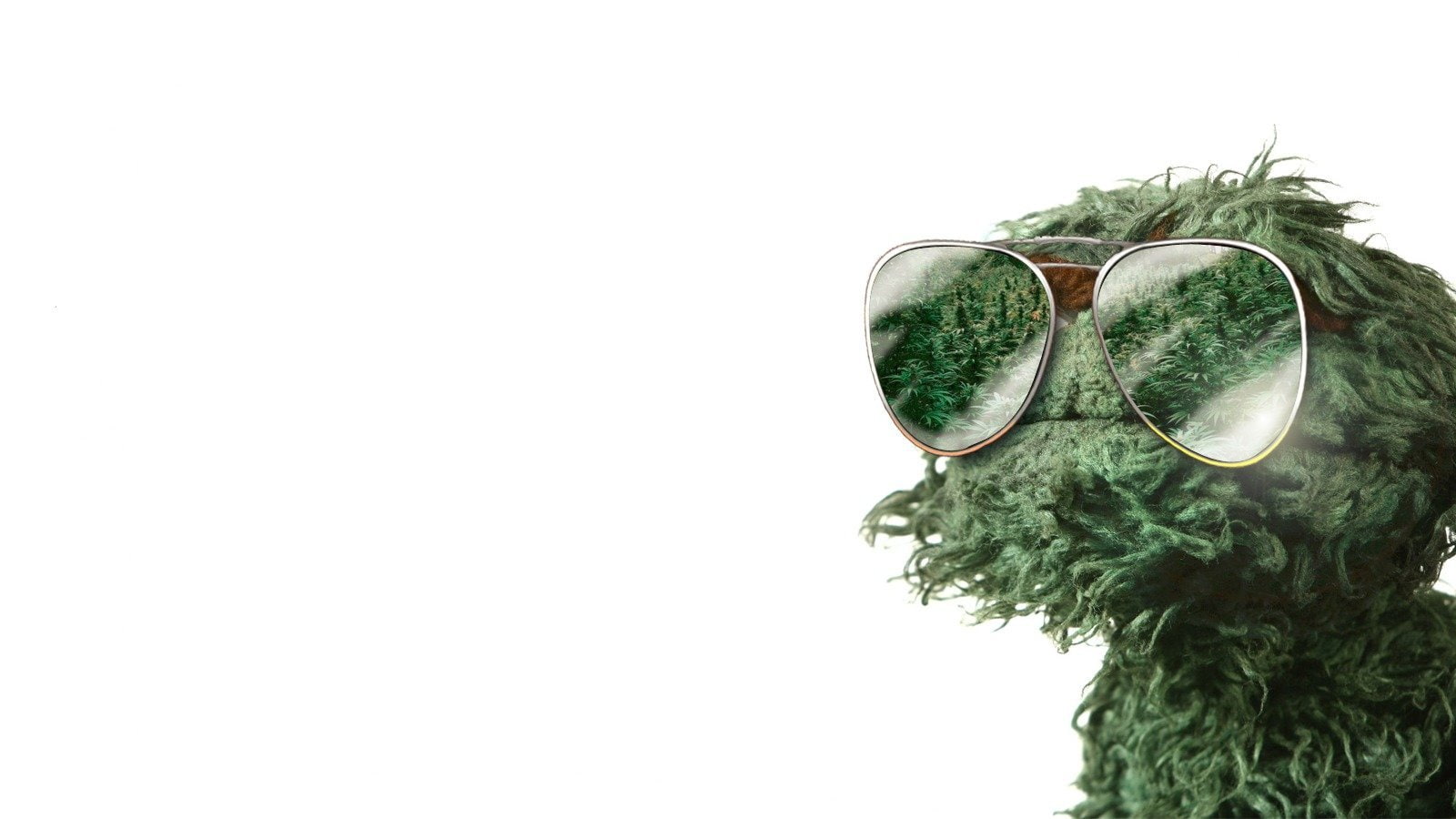 cannabis drug drugs marijuana nature plant psychedelic 2k