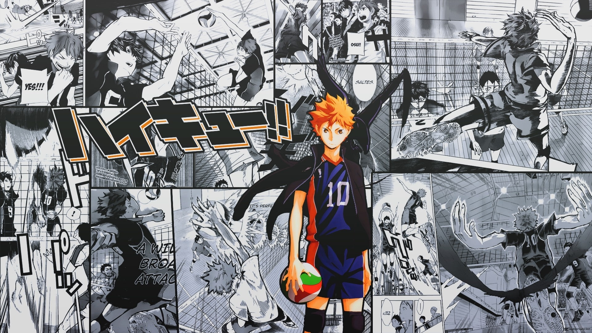 anime haikyuu hinata shoyo volleyball 2k