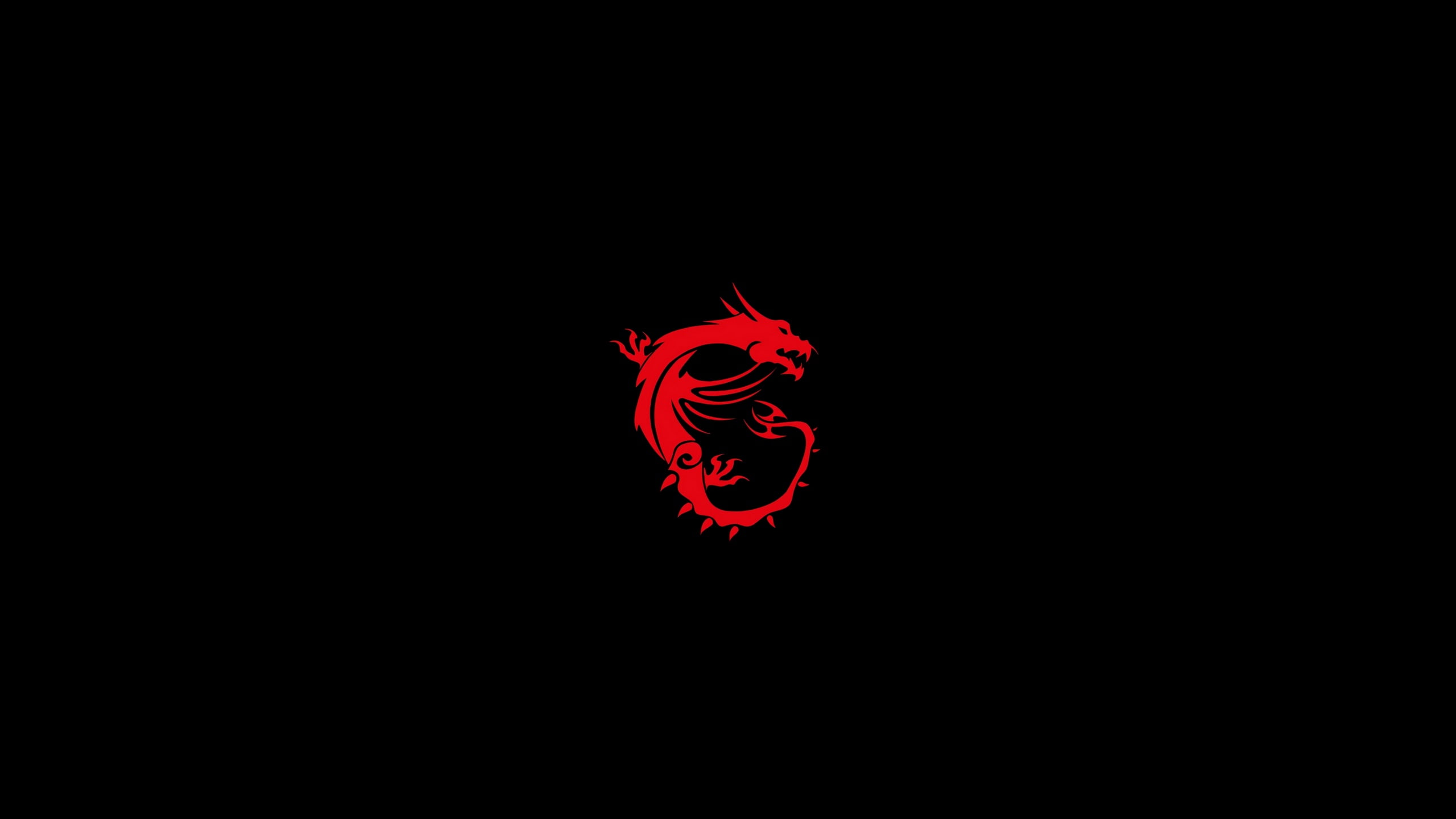 msi computer logo hd dragon black red background 2k