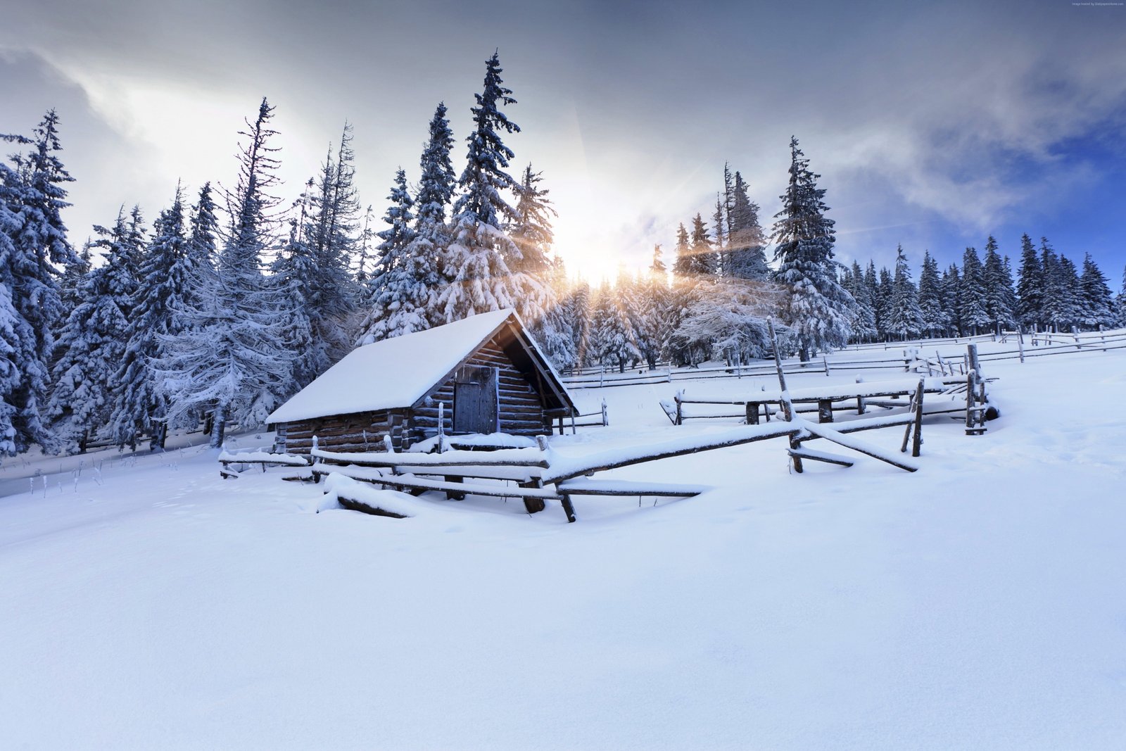 mountain fir trees winter forest village snow 2k 4k 5k
