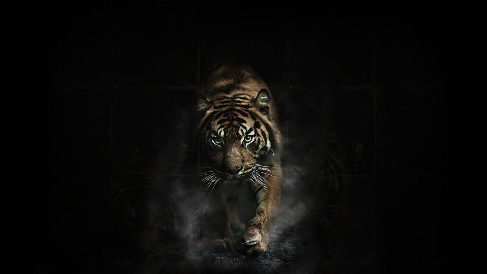 adult brown tiger animals dark artwork animal themes one 2k