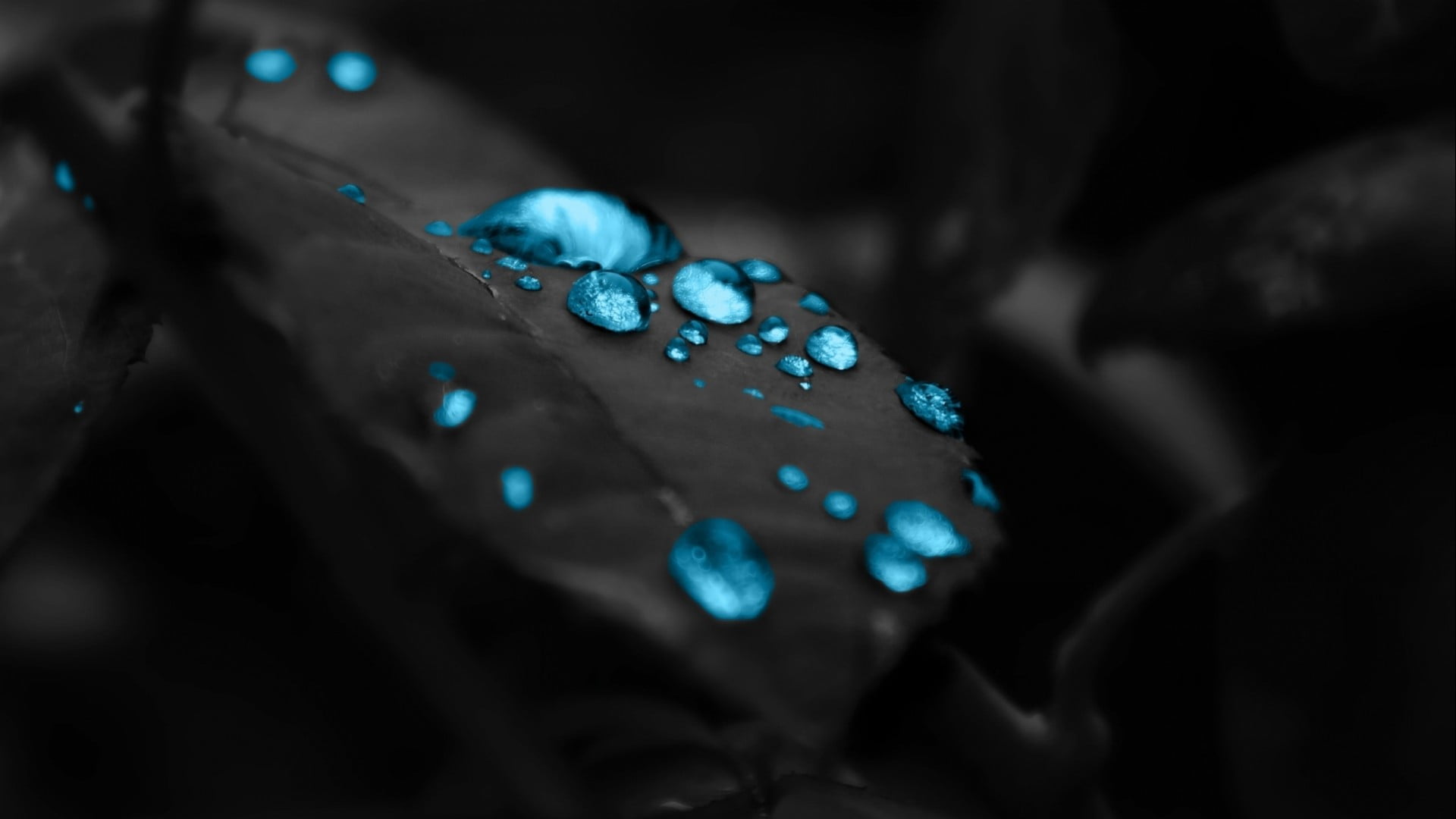 blue water dew wallpaper shallow focus photography of gemstone 2k