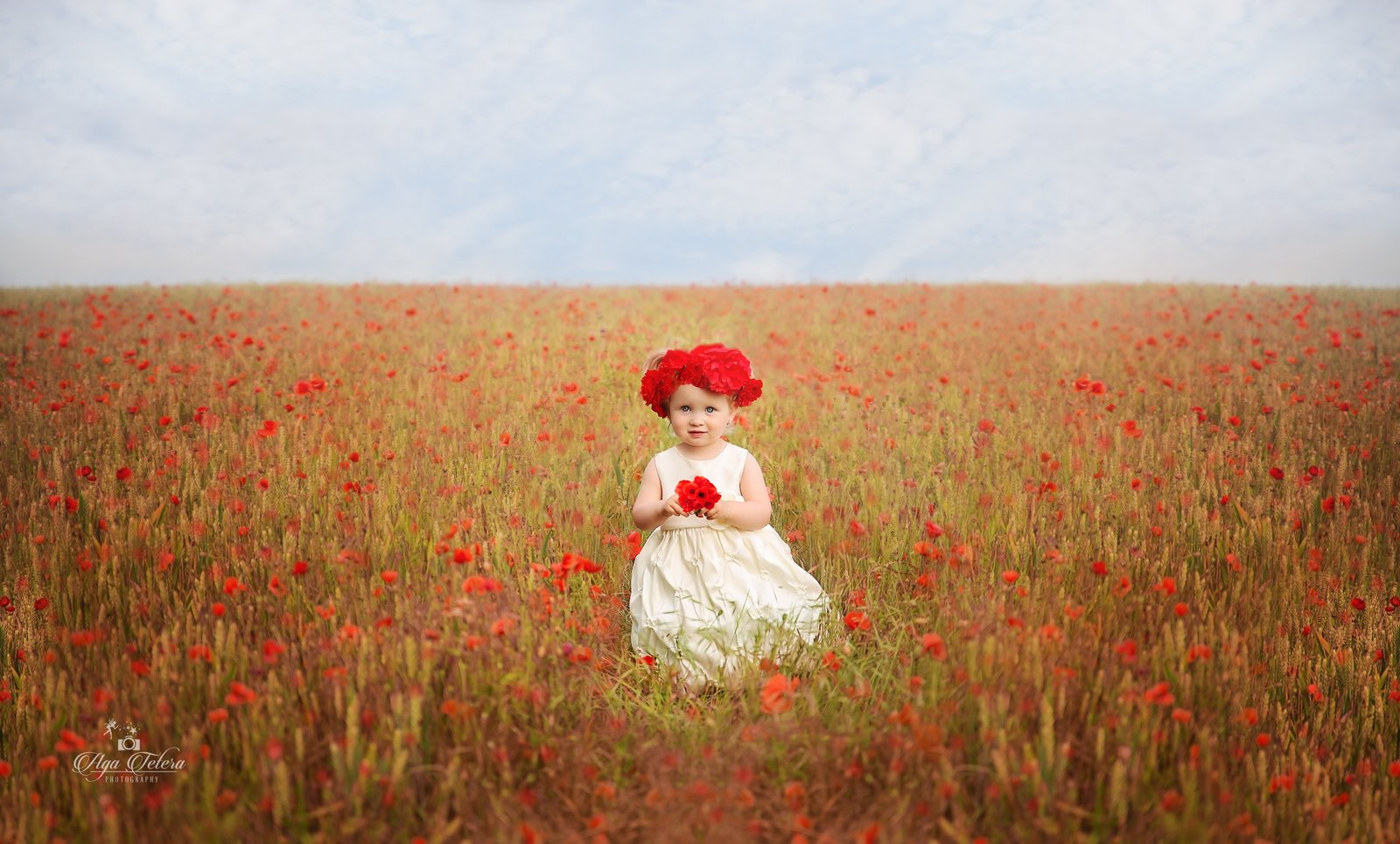 Poppies Cute Girl Poppy flowers one person plant 2k 4k 5k