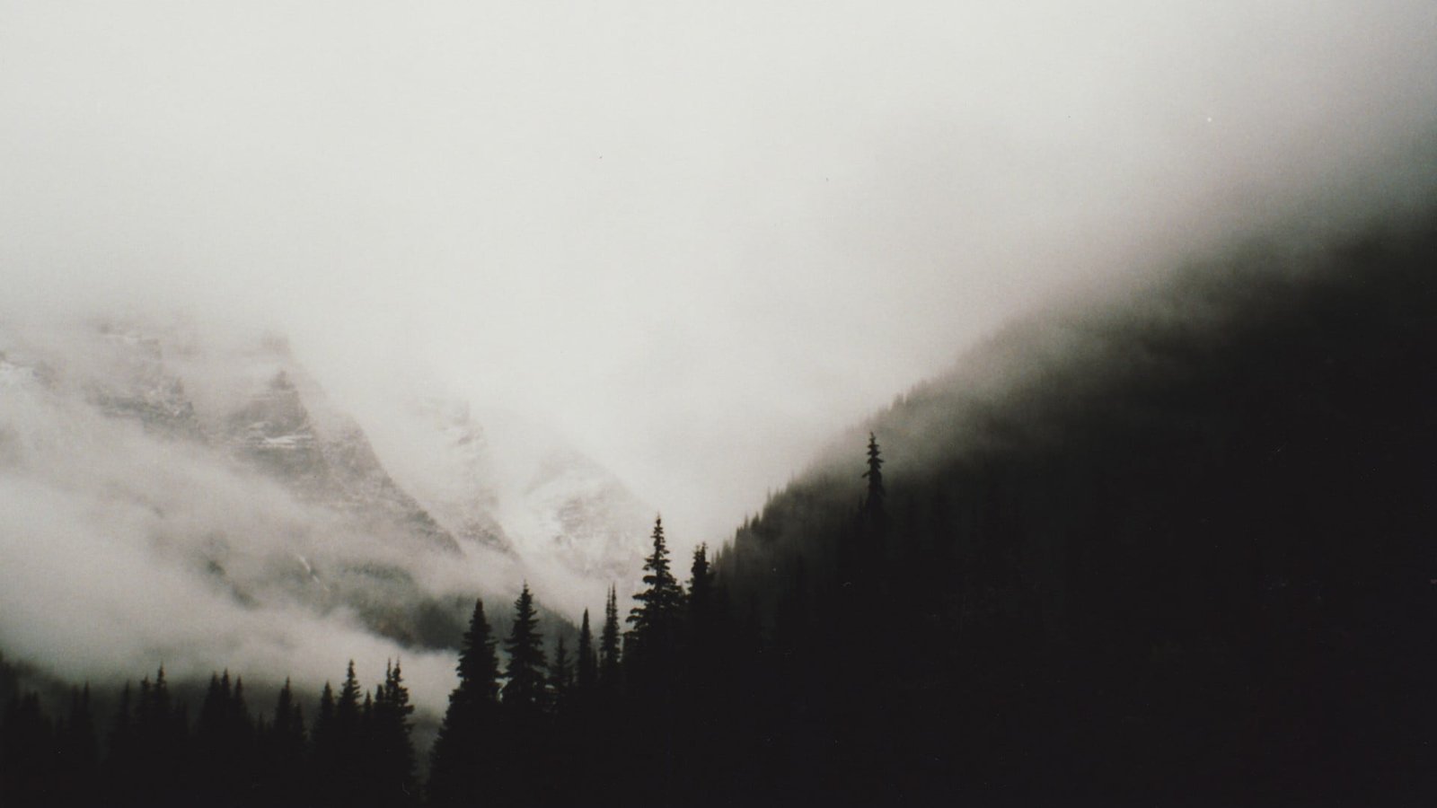 mountain and trees panoramas hills forest monochrome mist 2k