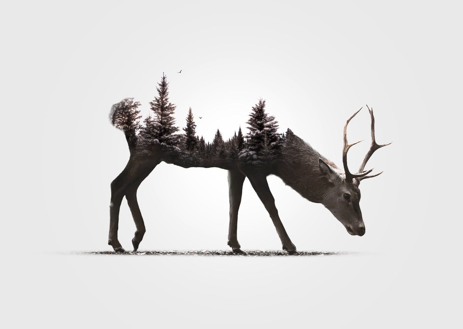 snow forest pine trees nature deer digital art animals 2k