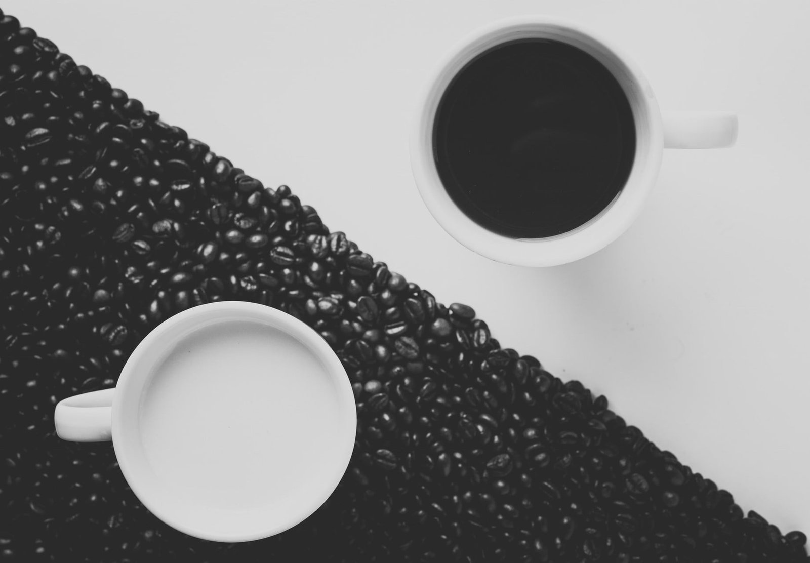 two white and black ceramic bowls nature coffee Yin Yang 2k