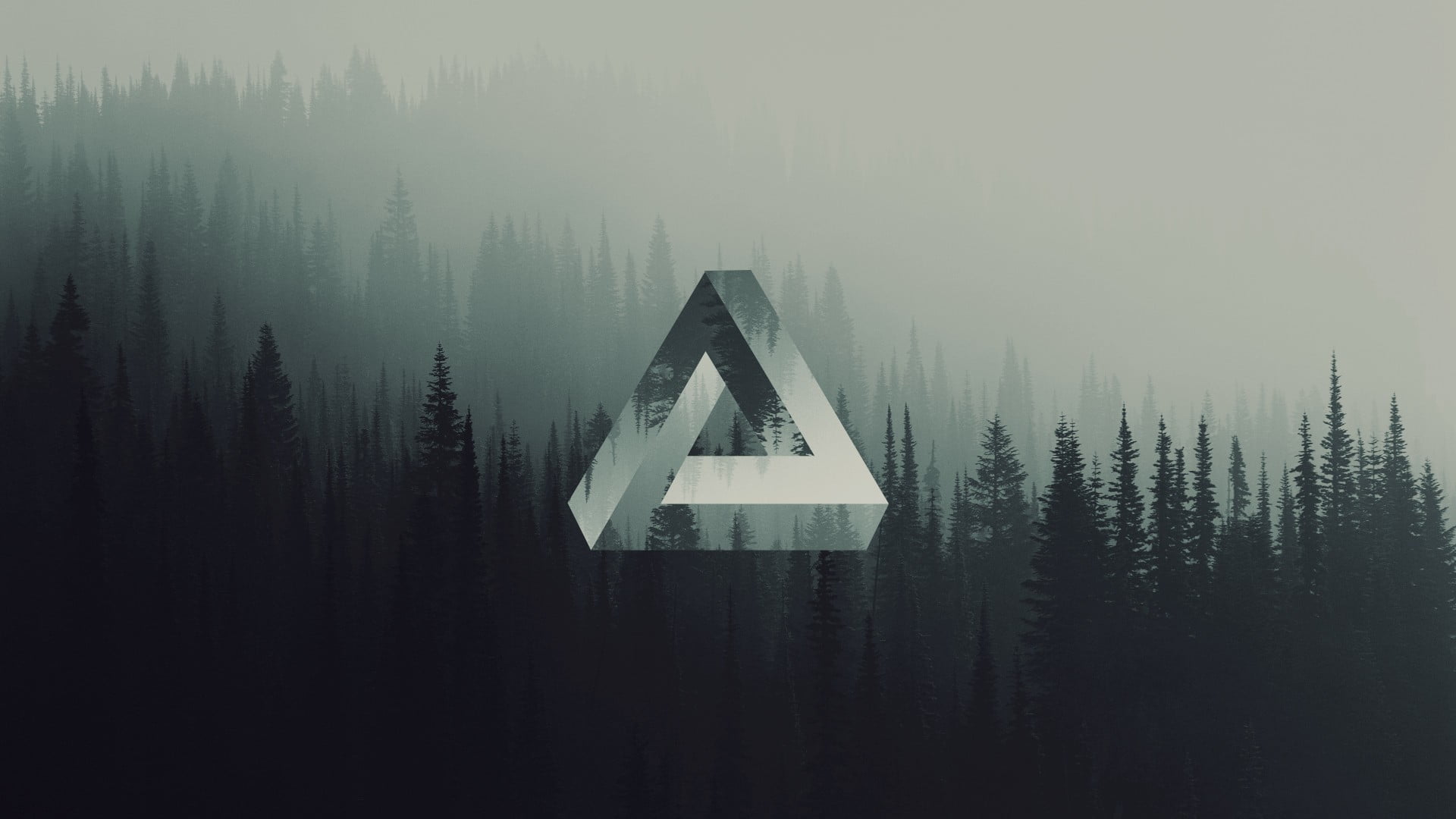 pine trees triangle geometry forest Penrose fog 2k