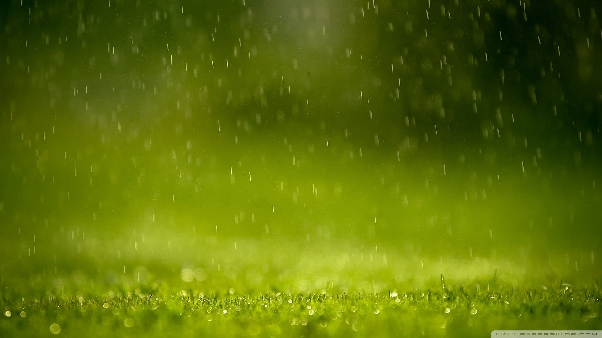 close up photography of waters dropping on green grass field 2k