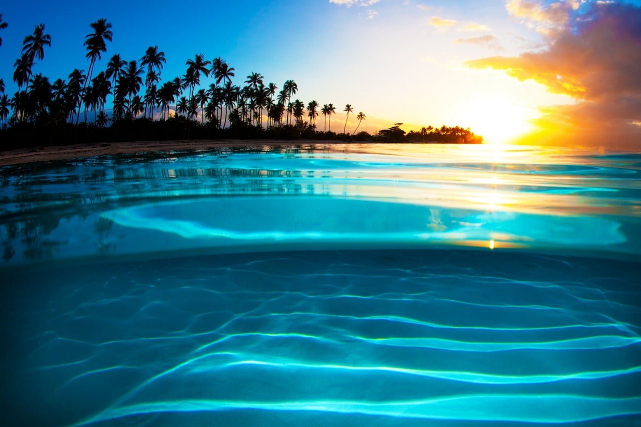 crystal clear body of water liquid sunset sea beach palm trees