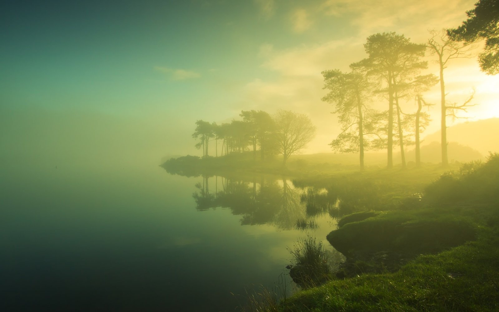 Beautiful dawn scenery trees lake mist sunrise blurry 2k