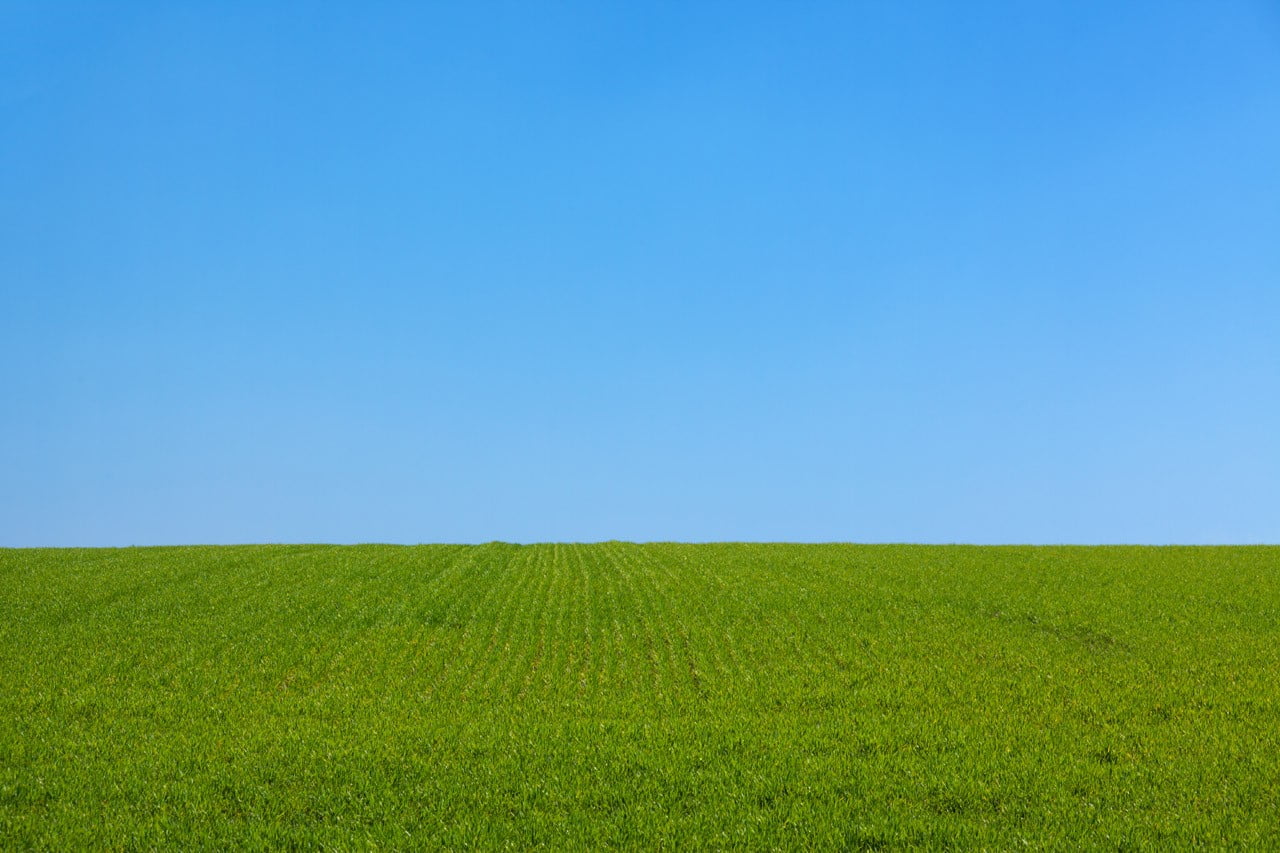 green grass field blue landscape lawns nature park plants