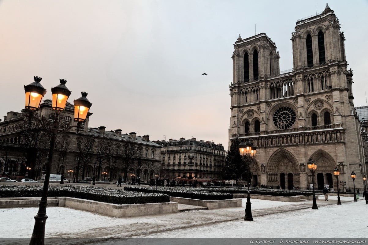 brown painted cathedral landscape nature Notre Dame Paris