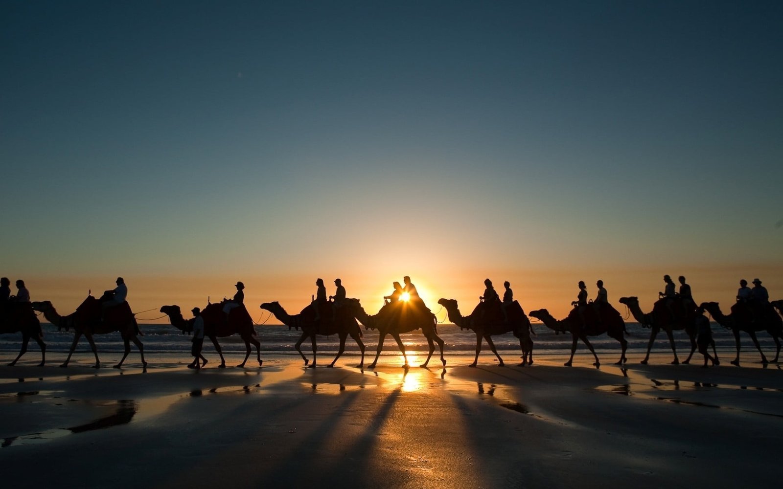 landscape nature sunset camels desert sunlight beach 2k