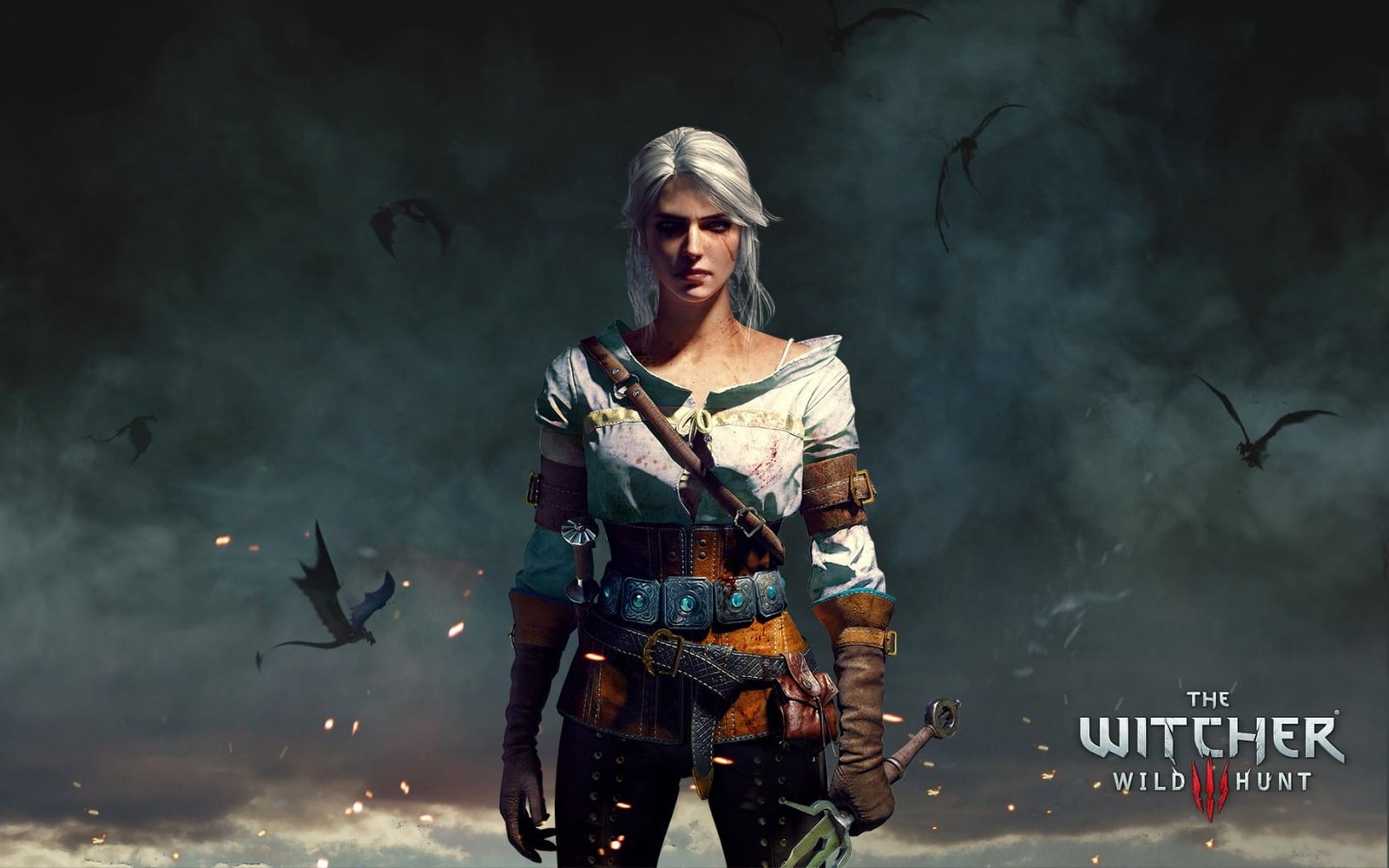 The Witcher Wild Hunt cover the witcher 3 character weapon 2k
