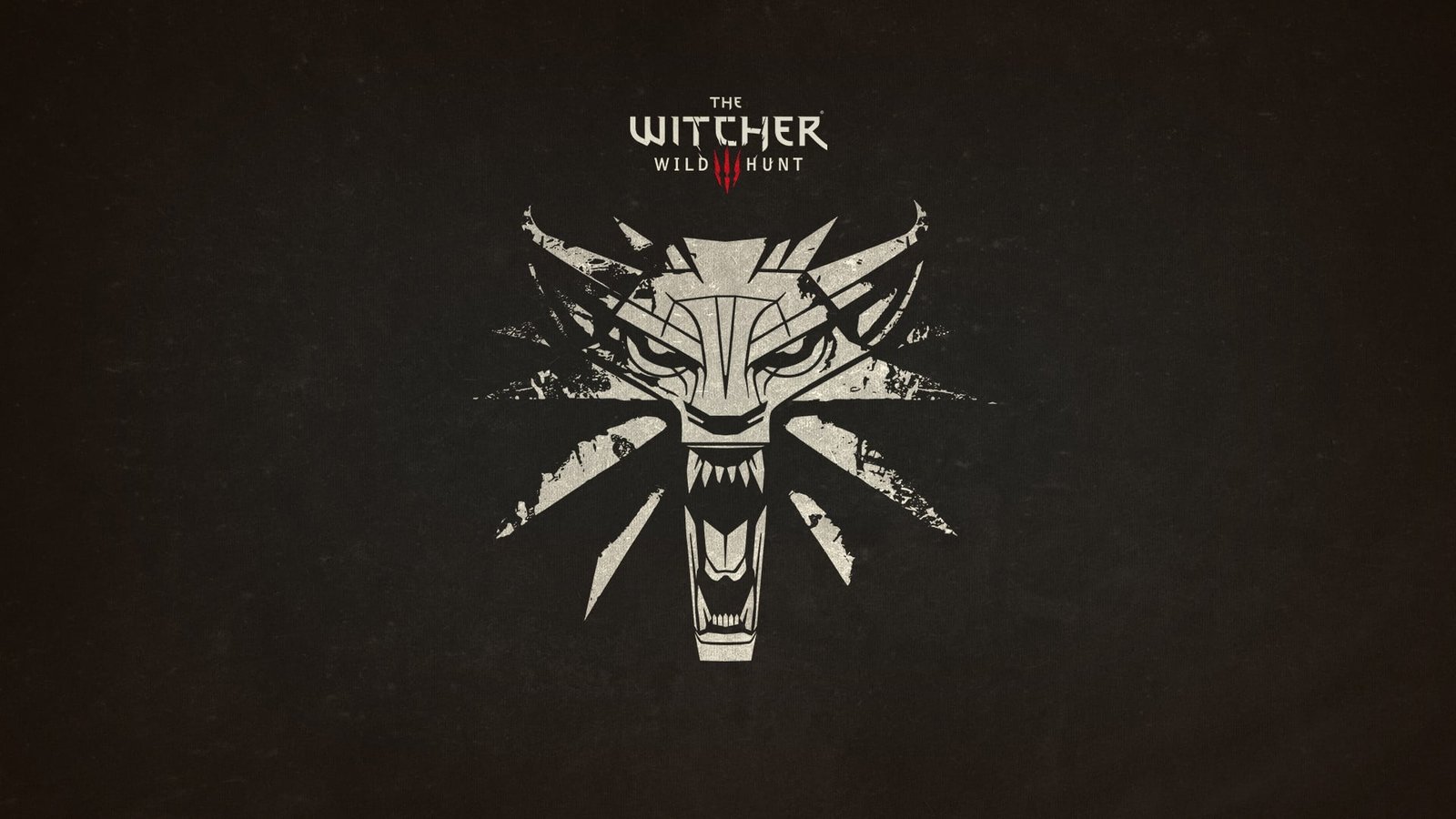 The Witcher Wild Hunt wallpaper 3 video games 2k