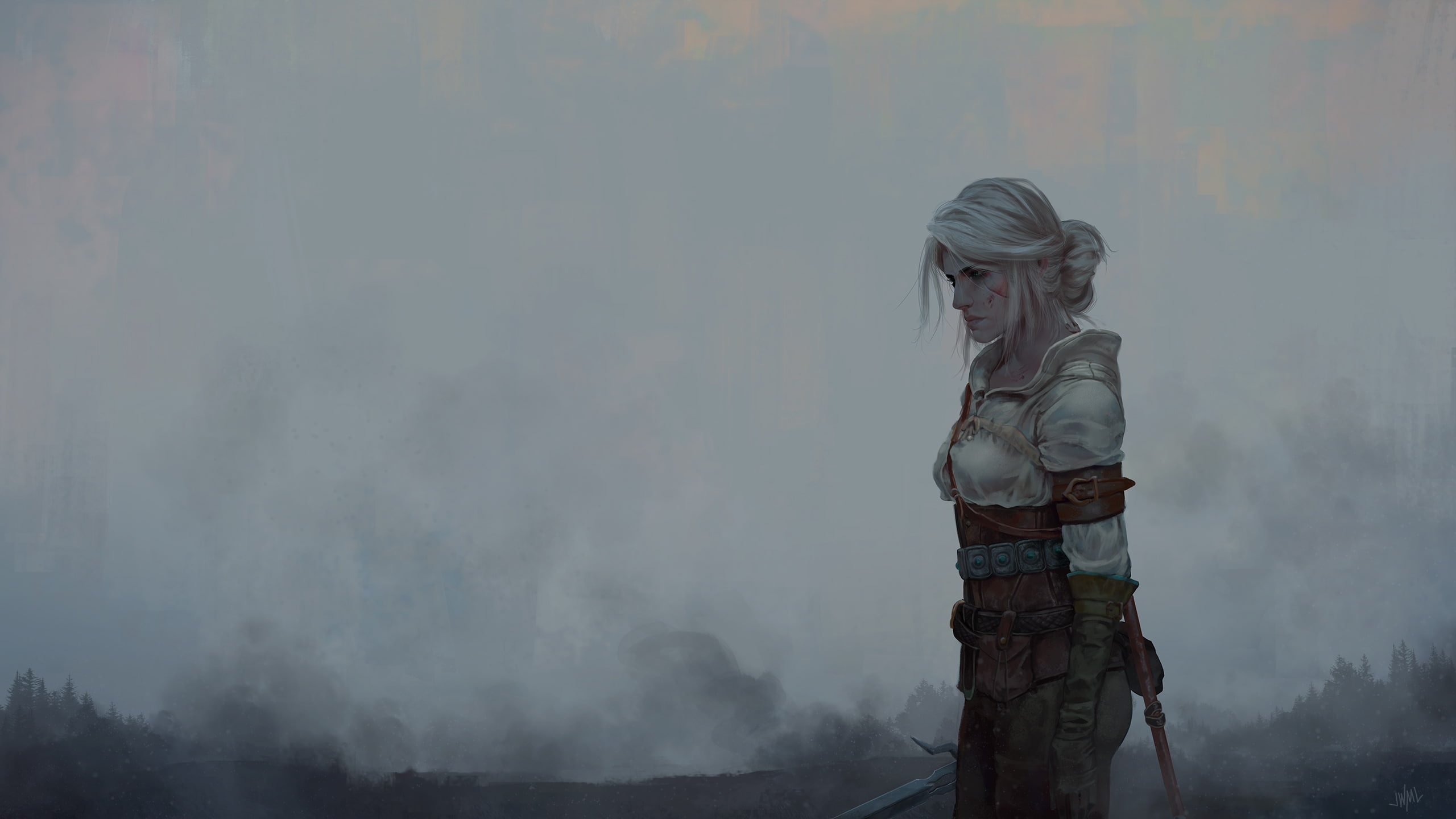 the witcher ciri profile view artwork Games one person 2k