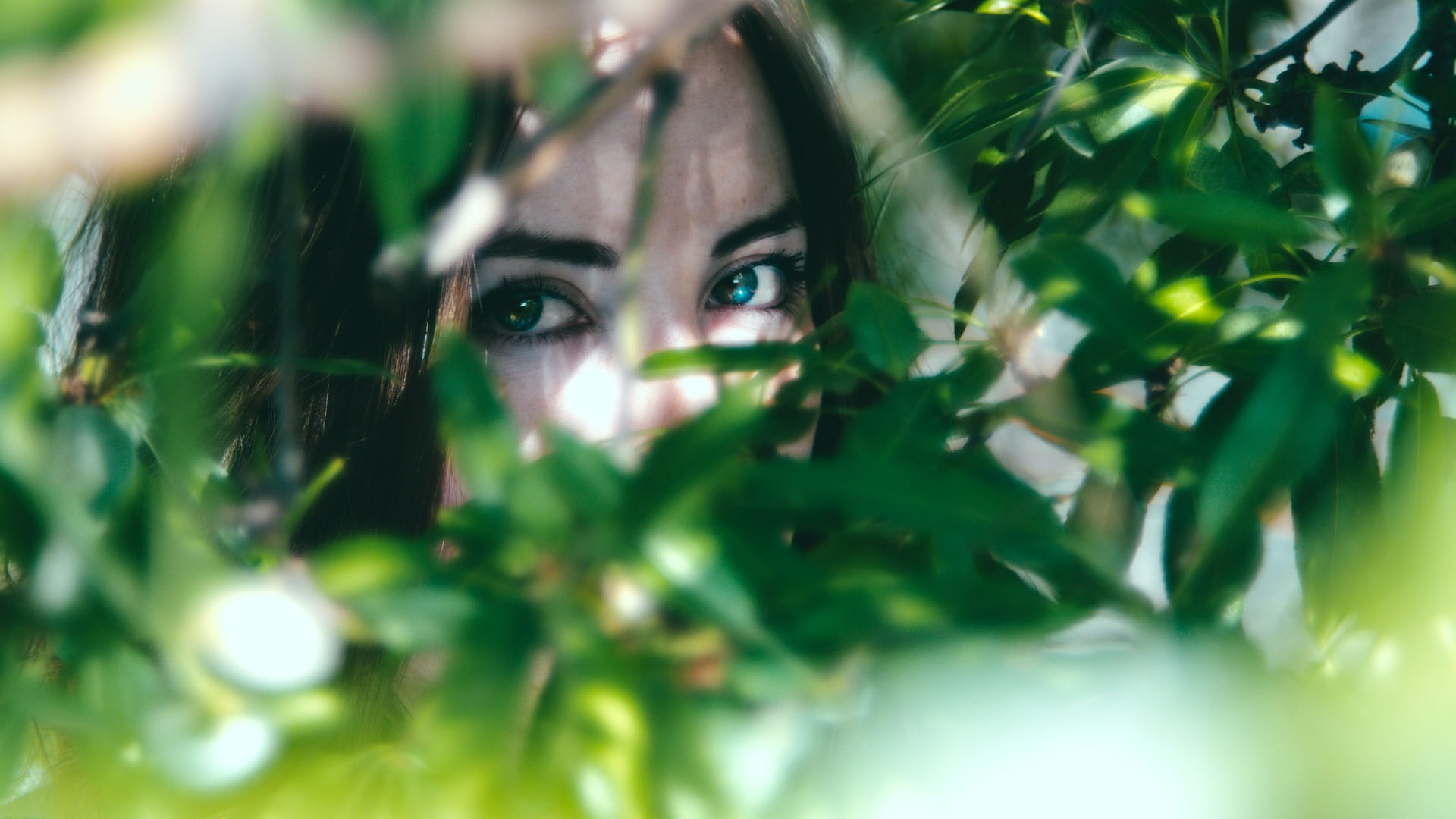 woman hiding on green leaf plant Nature Eyes Beauty Female 2k