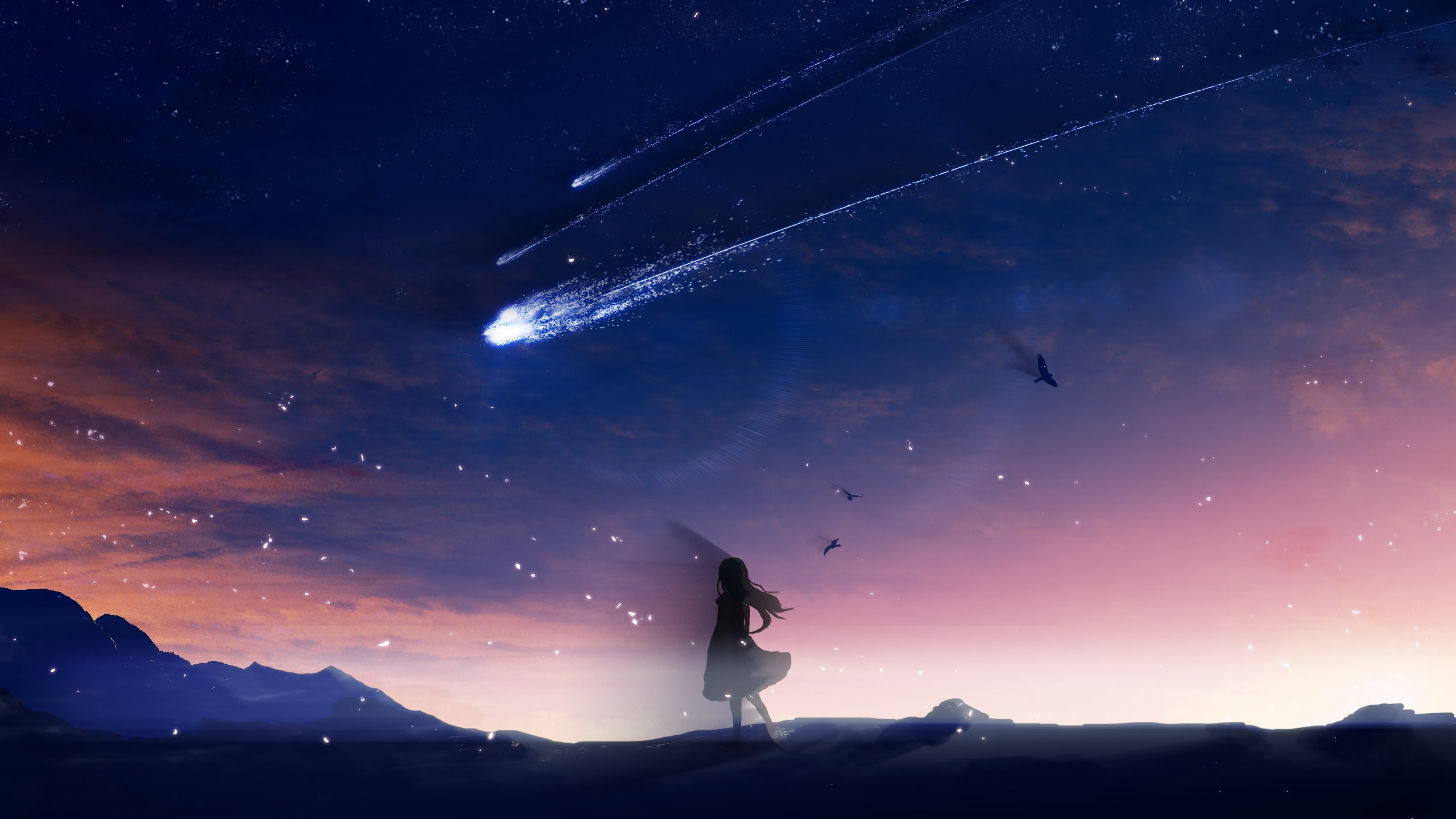 anime girl falling stars scenic birds sky landscape one person 2k