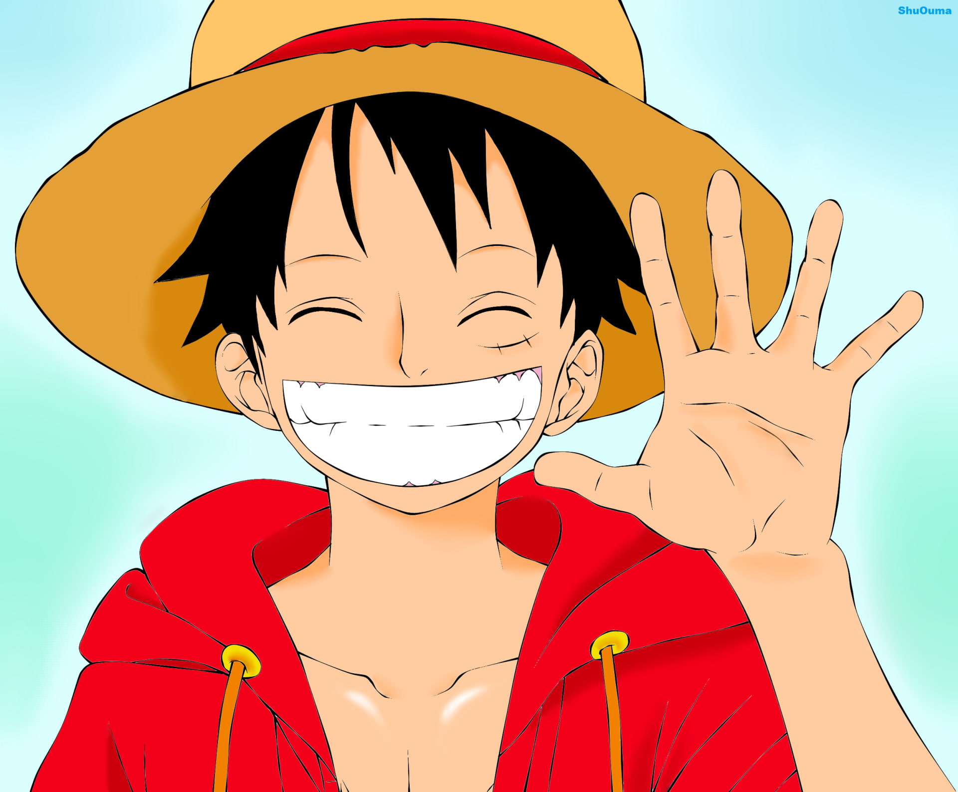 Anime One Piece Monkey D Luffy 2k