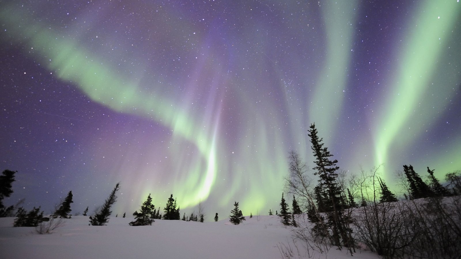 Aurora Borealis Northern Lights Snow Winter Night Stars HD nature 2k