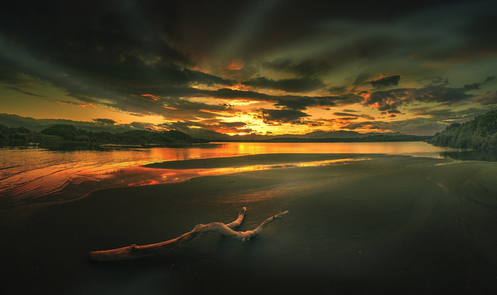 beige driftwood landscape coast beach sunrise clouds sky 2k