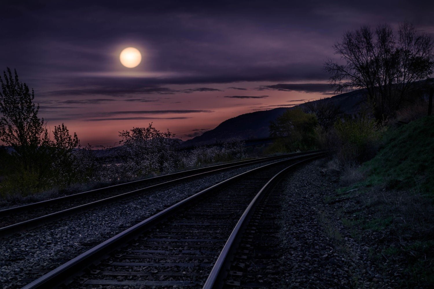 black train railway landscape photography nature Moon night 2k