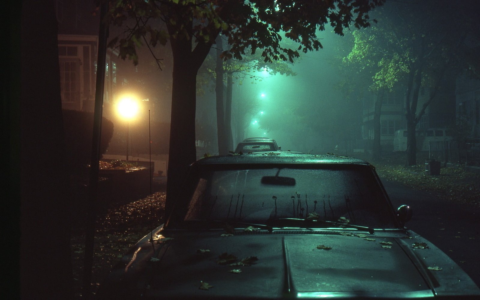 black car street night light dark lights mist mode of transportation 2k