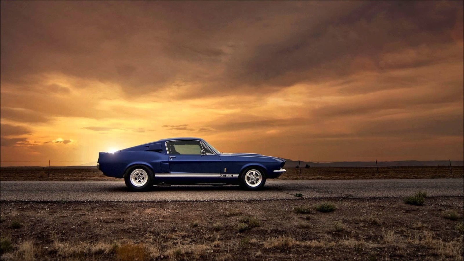 blue Ford Mustang car cars sunlight road landscape 2k