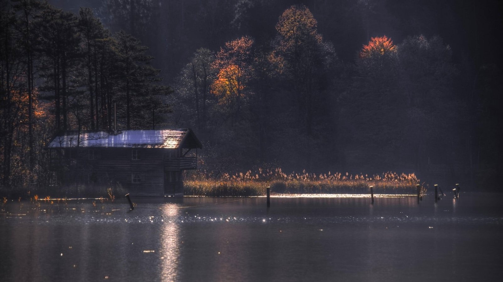 body of water nature landscape lake forest fall trees sun rays 2k