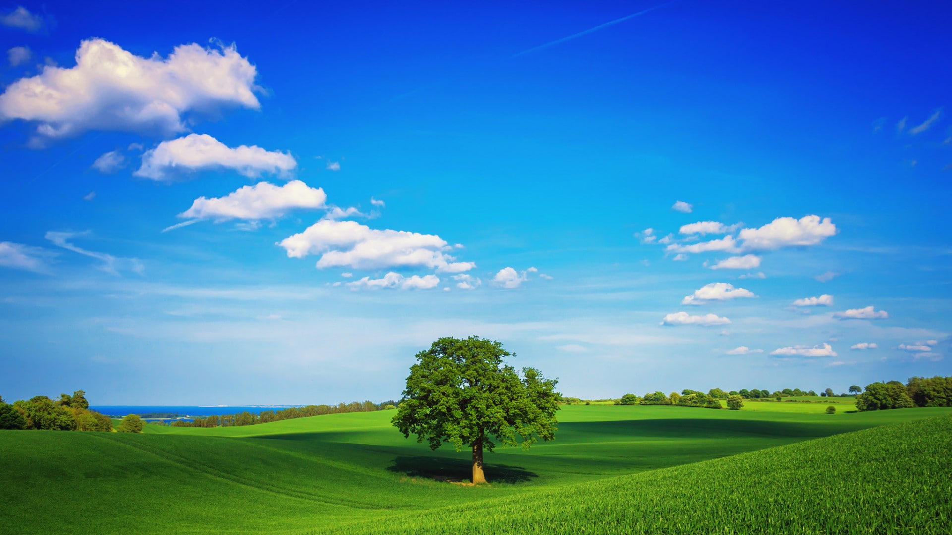 blue sky white clouds green grass trees desktop landscape nature wallpaper 97 2k