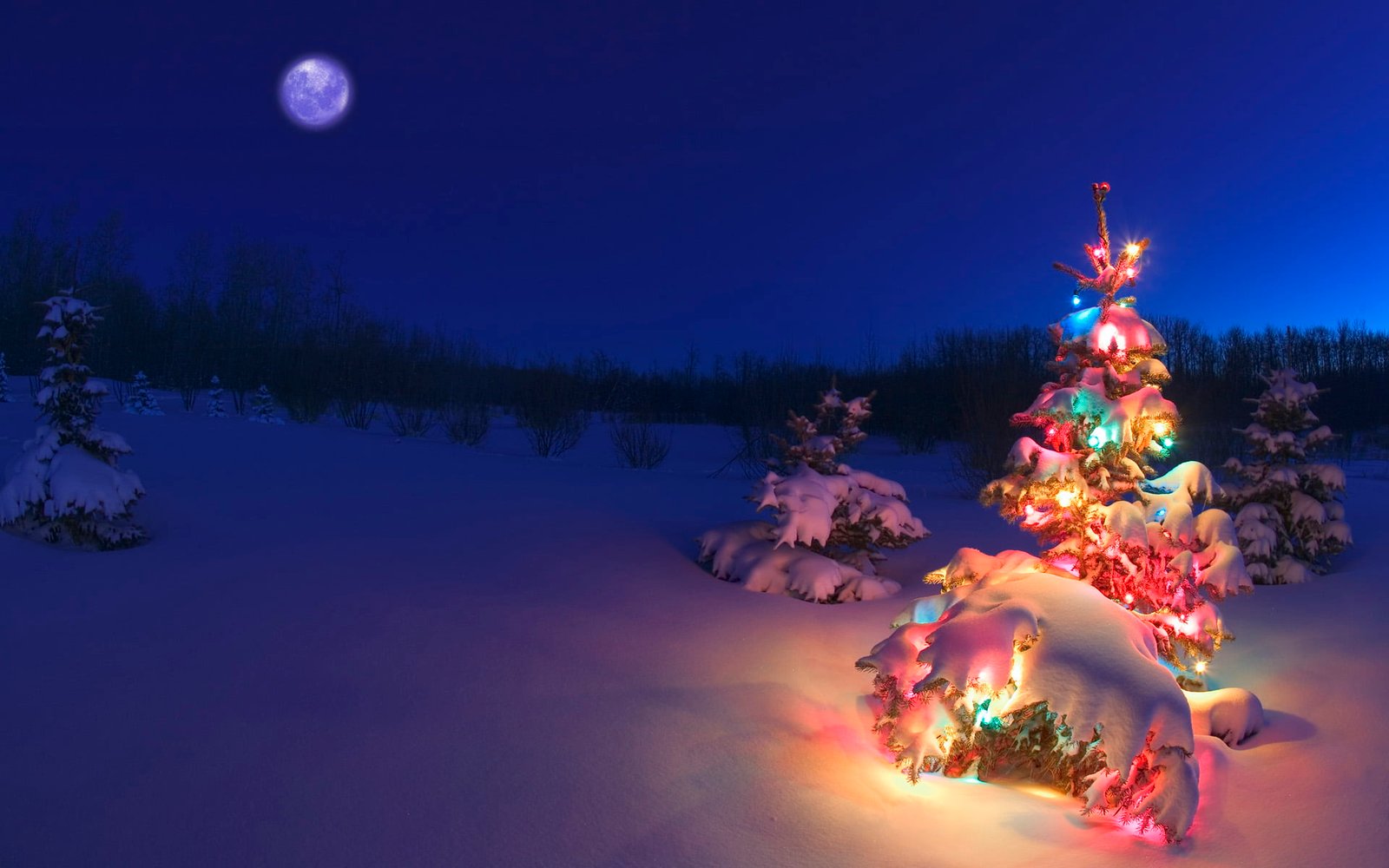 Christmas tree wallpaper holiday christmas lights landscape 2k