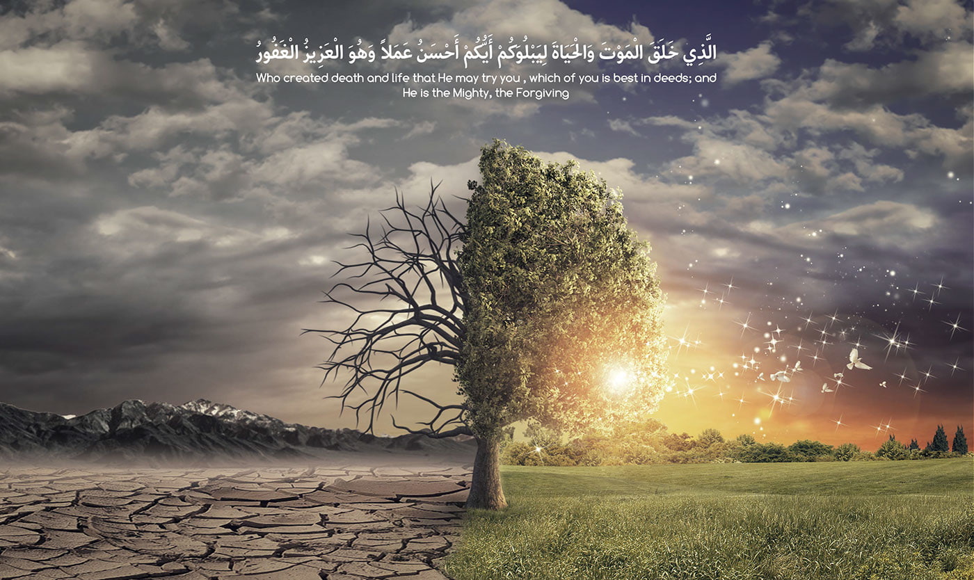 Allah religion religious Qur'an sky cloud tree