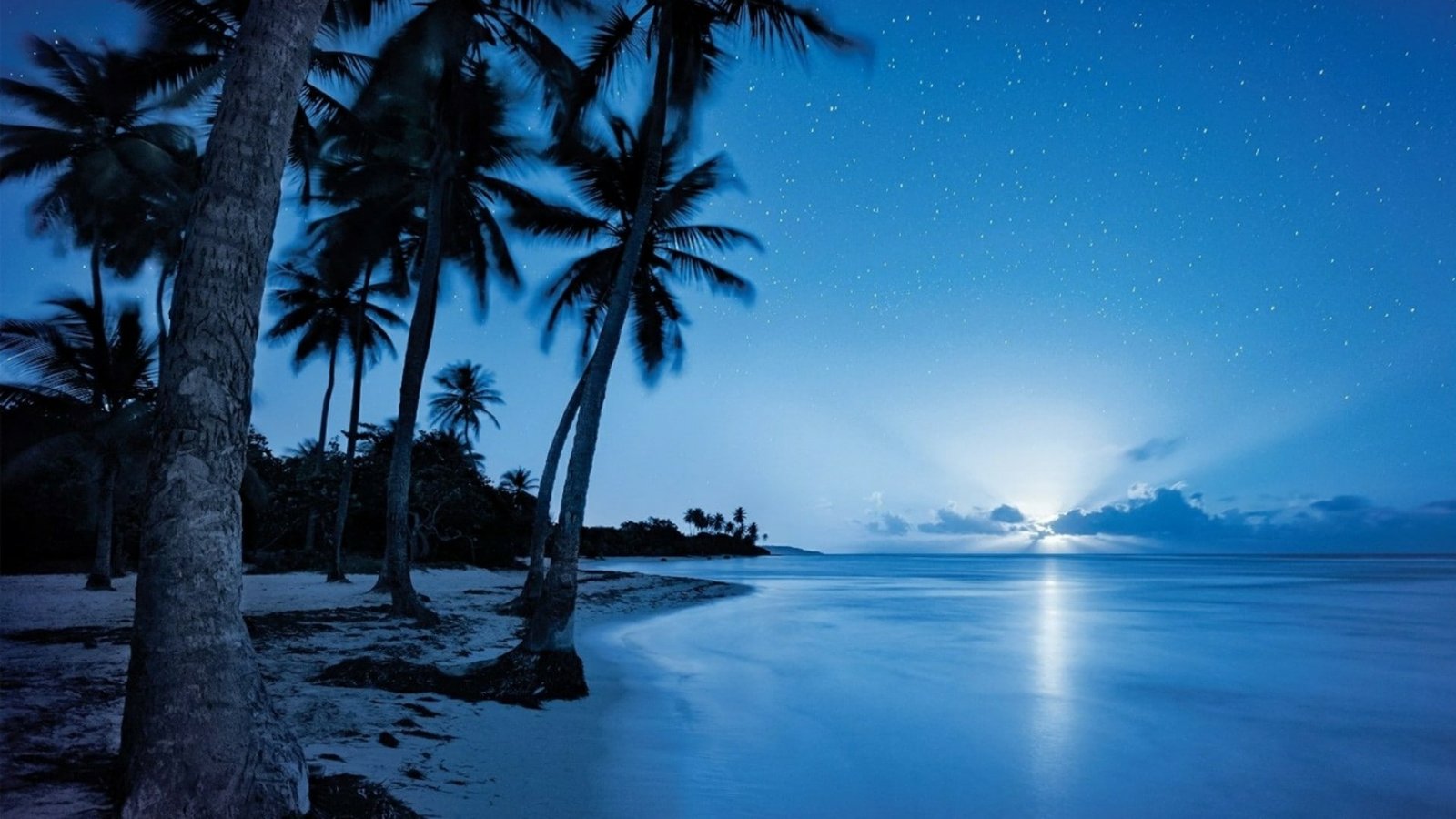 starry night coastline seashore blue water sky horizon 2k
