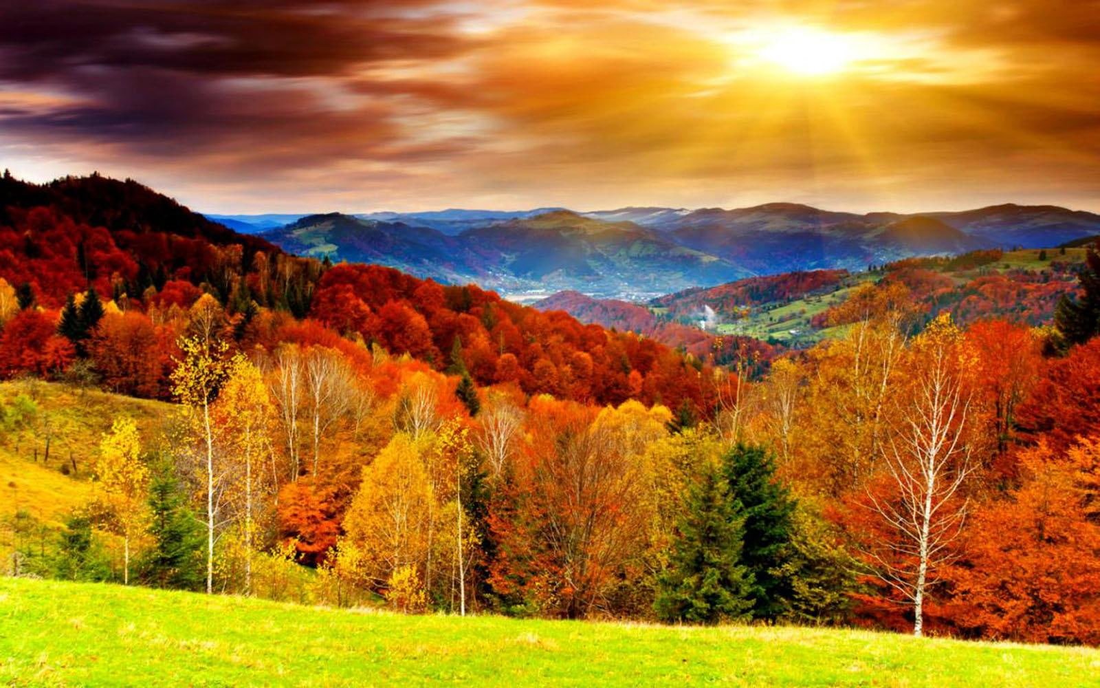 Autumn Scenery natural 2k