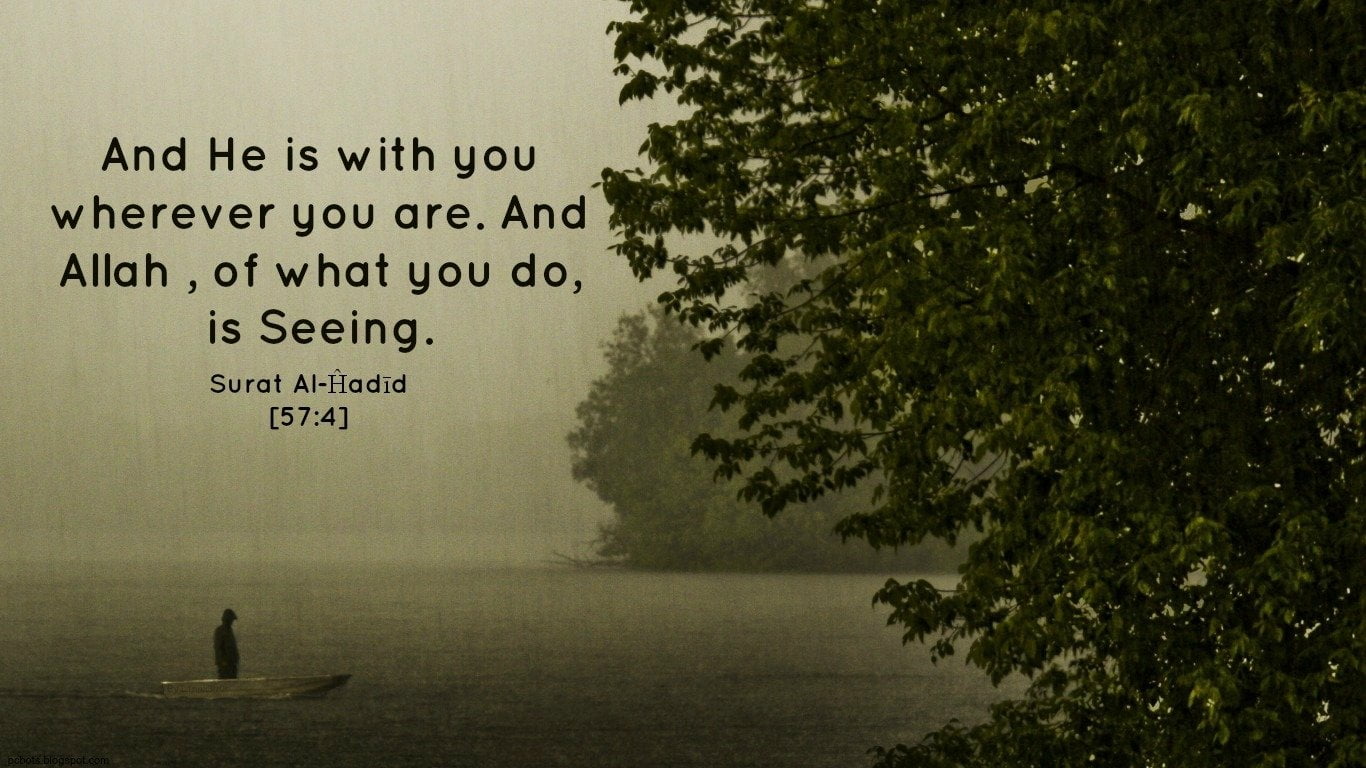 Religious Islam God Quran text tree plant nature water