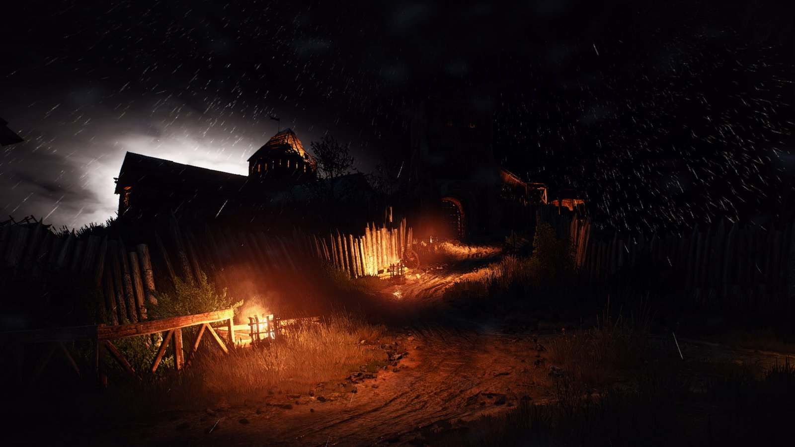 The Witcher 3 Wild Hunt video games night nature illuminated 2k