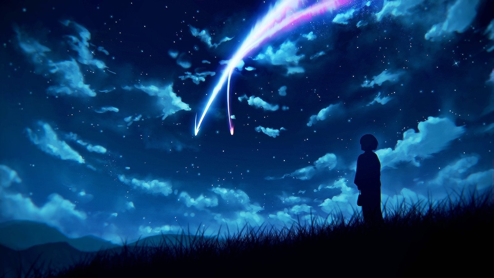 silhouette of person standing on the grass illustration Anime 2k