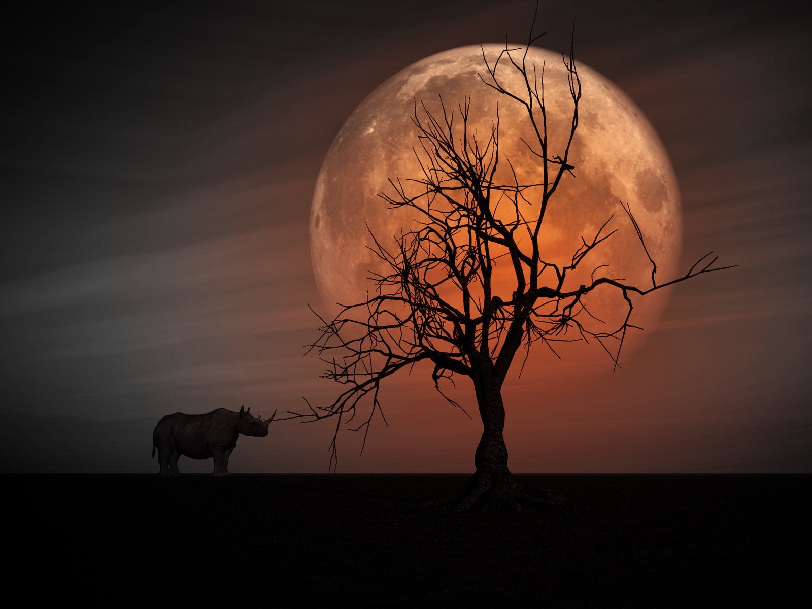 silhouette photo manipulation of Rhino near tree on a blood moon setting 2k