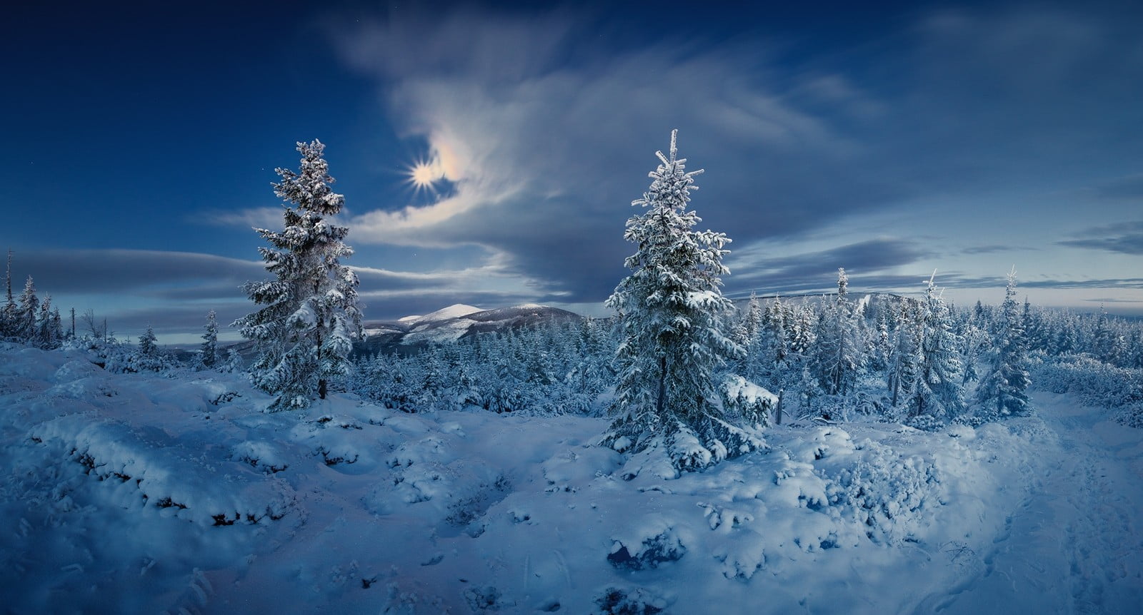 snow covered trees landscape nature forest winter cold Sun 2k