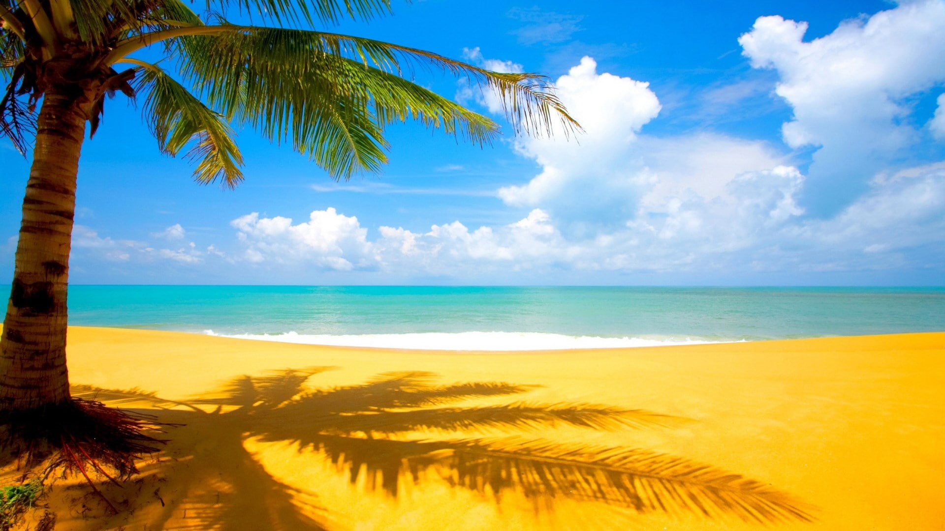 best amazing nature tropical climate sea beach 2k