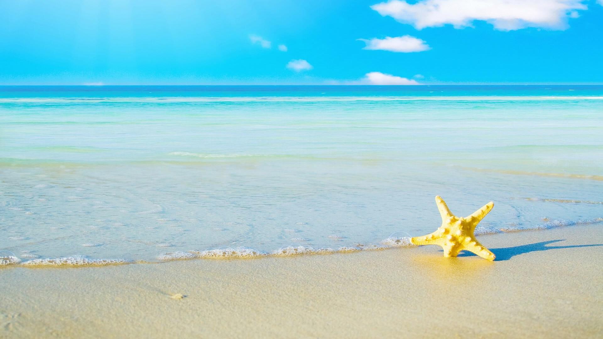 Summer Beach yellow starfish vacation sand nature and landscapes 2k