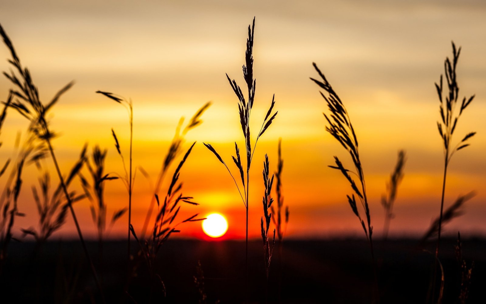 sunset scenery the sky nature background widescreen Wallpaper 2k