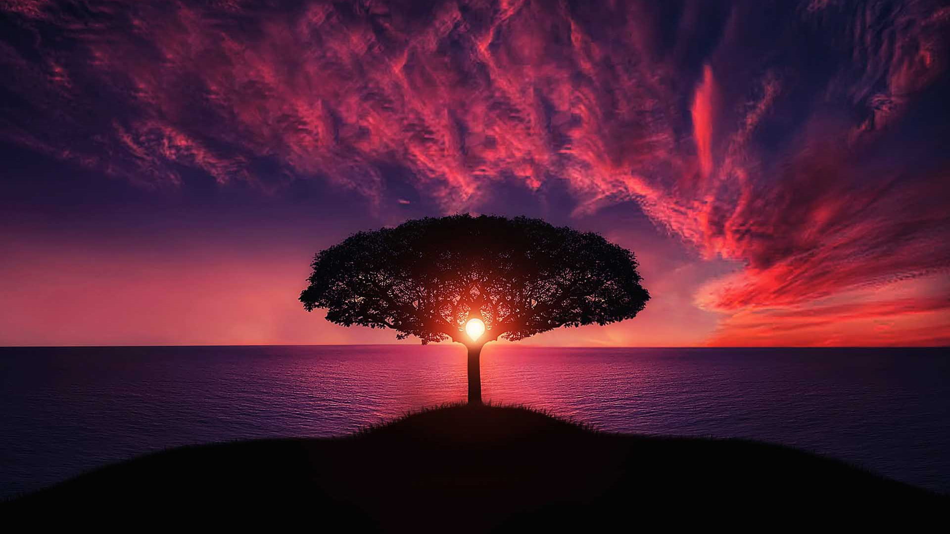 sunset Amazing HD 2k